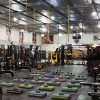 مربی بدنسازی