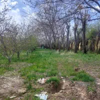 باغ گردو و سیب سپیدان ریگون