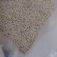 برنج دم سیاه