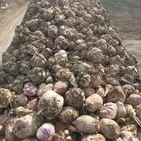 پرس بادام زمینی|حیوانات مزرعه|فامنین, |دیوار