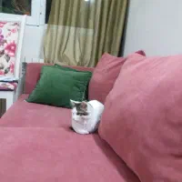 مبل راحتی ۶ نفره