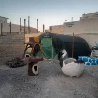 فروش-سازه-گلسرا