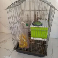 باتمام وسایلش در حد نو