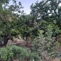 240متر-زمین-مسکونی