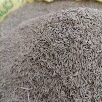 زیره سبز|عمده‌فروشی|خواف, |دیوار