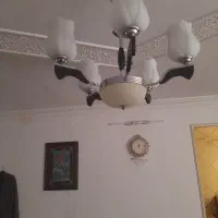 لوستر