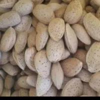 شیرین بادام درختی