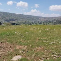 زمین-تجاری-مکانیکی-ها