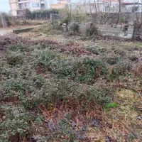 زمین-تفکیک-شده-طرح-هادی