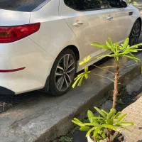 اپتیما۲۰۱۴ بیرنگ فول شرکت