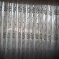 فرش و پرده و تخت و جاروبرقی|فرش|رشت, فلسطین|دیوار