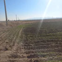 زمین-کشاورزی