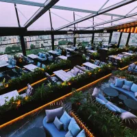 استخدام نیروی ویتر و ویترس