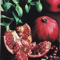 فروش و آموزش نقاشی