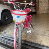 دوچرخه سایز 20 صورتی