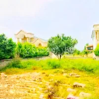 زمین-با-درخت-مرکبات-چند-ساله-210متر-سندار
