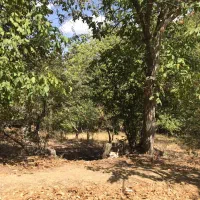 زمین ۱۲۰۰ متری احمد آباد دماوند|فروش زمین و ملک کلنگی|دماوند, دماوند|دیوار