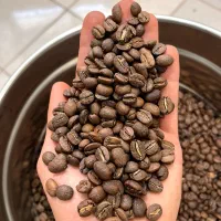 دانه قهوه عربیکا و ربوستا