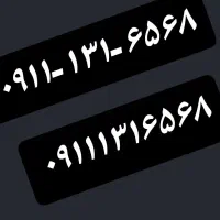 ۰۹۱۱-۱۳۱-۶۵