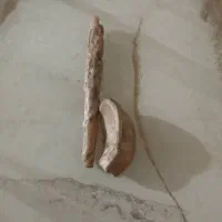 اصلی به شرت هر کسو هر کجا