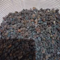 کشمش آفتابی