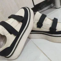 مجلسیپوتوکتونیکالج|کیف، کفش، کمربند|صباشهر, |دیوار