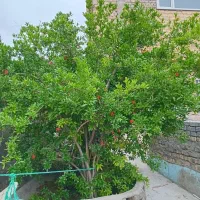 معاوضه با اصفهان،کاشان یزد،گیلان،مازندران|فروش خانه و ویلا|کهک, |دیوار
