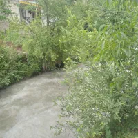 اجاره ماهانه|اجارهٔ خانه و ویلا|کلاردشت, |دیوار