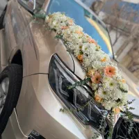گل ماشین عروس و دسته گل عروس|گل و گیاه طبیعی|تهران, مرزداران|دیوار