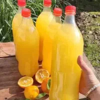 نارنج آبدار و آب نارنج