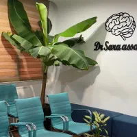 گل اپارتمانی بزرگ درختچه