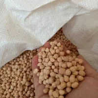 حبوبات|خوردنی و آشامیدنی|شیراز, میانرود|دیوار