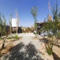 باغچه در خیابان اول کاشانک اسلامشهر