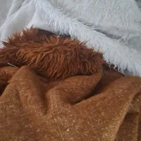 خز عکاسی