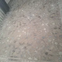 دوعدد فرش ۱۲متری ۱۵۰۰ شانه کاشان تراکم بالا|فرش|شاهرود, |دیوار