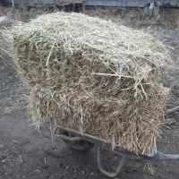 علوفه پرسی پرمغزومقوی برای دام سبک وسنگین