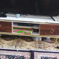 زیر تلویزیونی