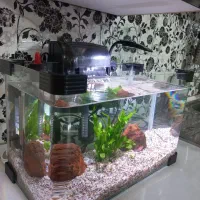 اکواریوم شیشه خم شرکتی با کلیه وسایل|ماهی|قم, شهرک سازمان آب|دیوار