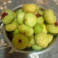 انجیر اعلا برا خوردن یا مربا