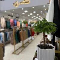 به یک مدل خانم نیاز داریم|استخدام هنری و رسانه|قم, زنبیل آباد|دیوار