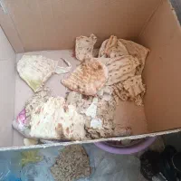 نان خشک تمیز .
