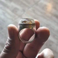 شجر قائن|جواهرات|حمیدیا, |دیوار