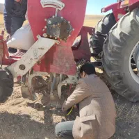 کاشت گندم شخم و سایر کارهای کشاورزی