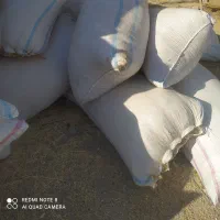 کاه گندم|لوازم جانبی حیوانات|ایلام, |دیوار