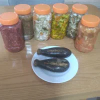 انواع ترشیجات