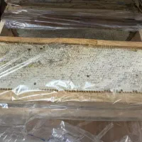 عسل طبیعی و درمانی خاص