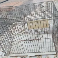 قفس پرنده
