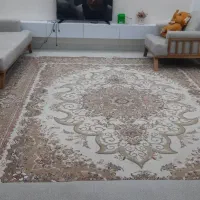 فرش ۷۰۰ شانه در حد نو