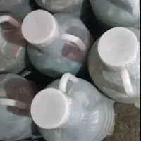 خیارشور