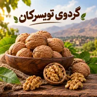 گردوی تویسرکان